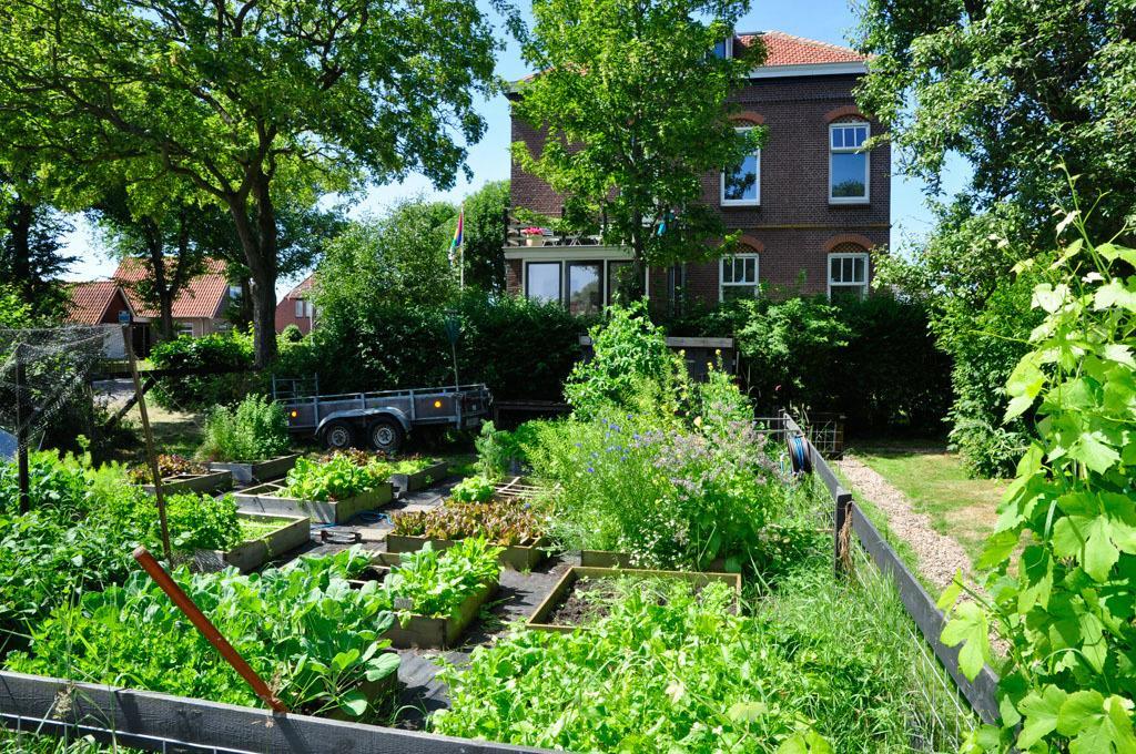 B&B De Postoari Terschelling Hoorn  Bagian luar foto